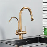 Antyczna mosiężna bateria kuchenna 2-w-1 z funkcją filtra