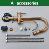 Antyczna mosiężna bateria kuchenna 2-w-1 z funkcją filtra