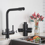 Kran kuchenny z funkcją filtrującą – Pojedyncza dźwignia | Chrom/Czarny | Ciepła i zimna woda | Montowany w blacie