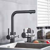 Kran kuchenny z funkcją filtrującą – Pojedyncza dźwignia | Chrom/Czarny | Ciepła i zimna woda | Montowany w blacie