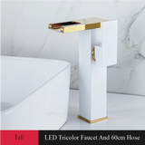 Zlewozmywakowy kran z wylewką wysoką – 2-otworowy | Jednouchwytowy | Ceramiczny zawór | W zestawie węże i panel dekoracyjny