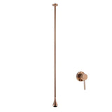 Surowy sufitowy żuraw ścienny