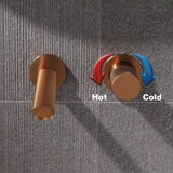 AquaÉlan Luksusowy Kran Ścienny