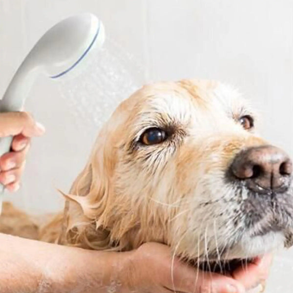 AquaNomad Przenośna Pompa Prysznicowa do Kempingu – Ręcznie Obsługiwany Prysznic na Zewnątrz dla Podróży, Plaży i Zwierząt Domowych