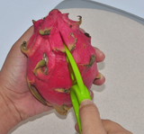 AvoMaster 3-in-1 Nóż do Awokado