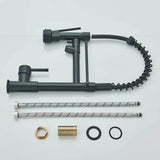 Wysuwana Bateria Kuchenna | Niklowane Złoto | Ciepła i Zimna Woda | Pojedyncza Gałka